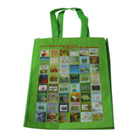 沧州LB11覆膜无纺布广告袋